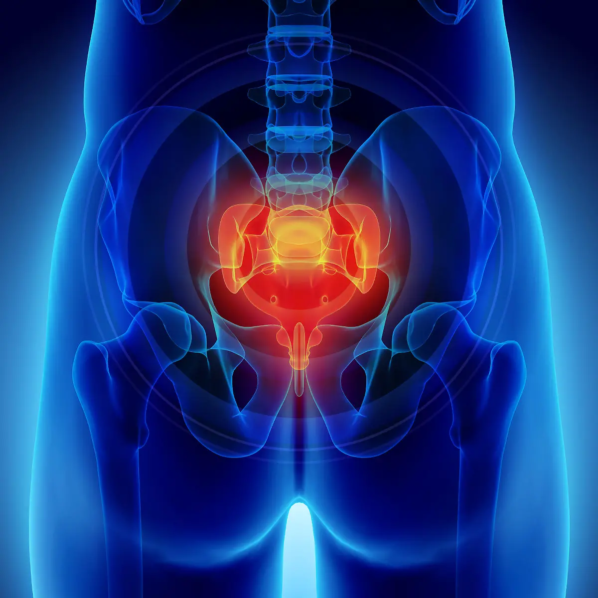 Steißbein Logo von Steißbein