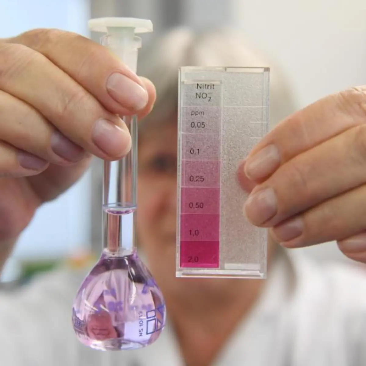 Nitrat Logo von Nitrat