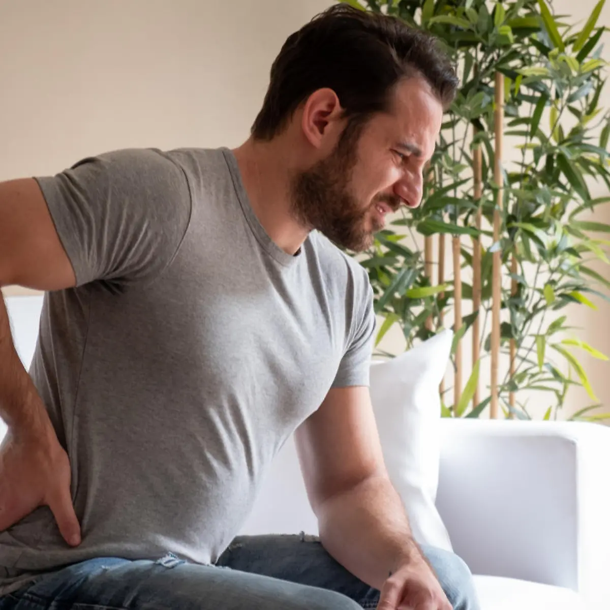 Nierenkolik Logo von Nierenkolik