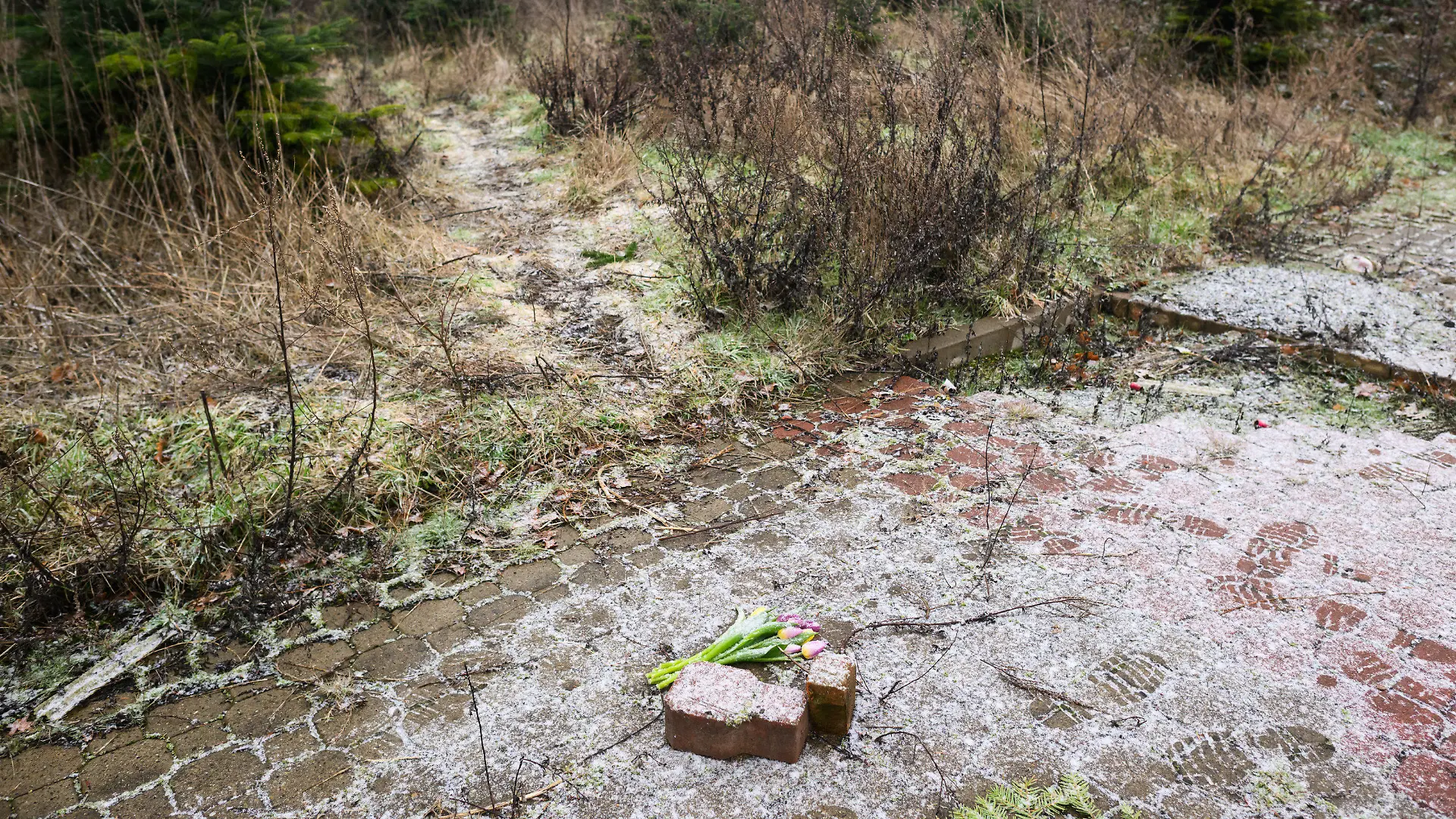26.01.2023, Niedersachsen, Wunstorf: Blumen liegen an einer Tannenbaumschonung und einem Brachgelände in Wunstorf-Blumenau in der Region Hannover. Nach dem Fund der Leiche eines 14-jährigen Jungen in Wunstorf bei Hannover sind für die Ermittler noch viele Fragen offen. Tatverdächtig wird ein weiterer 14-jähriger Junge. Foto: Julian Stratenschulte/dpa +++ dpa-Bildfunk +++