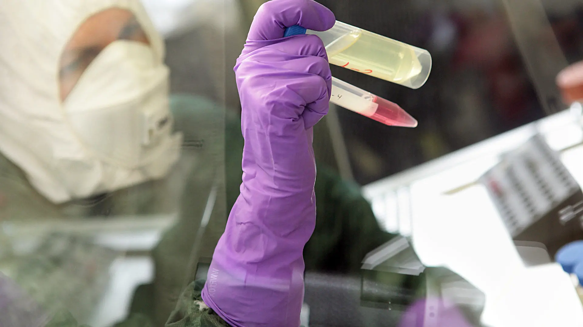 ARCHIV - Eine Mitarbeiterin des Fachbereichs Medizin am Institut für Virologie der Philipps-Universität-Marburg erforscht am 06.05.2009 das Influenzavirus H1N1 der Schweinegrippe/Mexiko-Grippe. Foto: Rolf K. Wegst/dpa (zu lhe "Uni-Präsidentin: Forschungsallianz wird akzeptiert" vom 15.11.2013) +++(c) dpa - Bildfunk+++