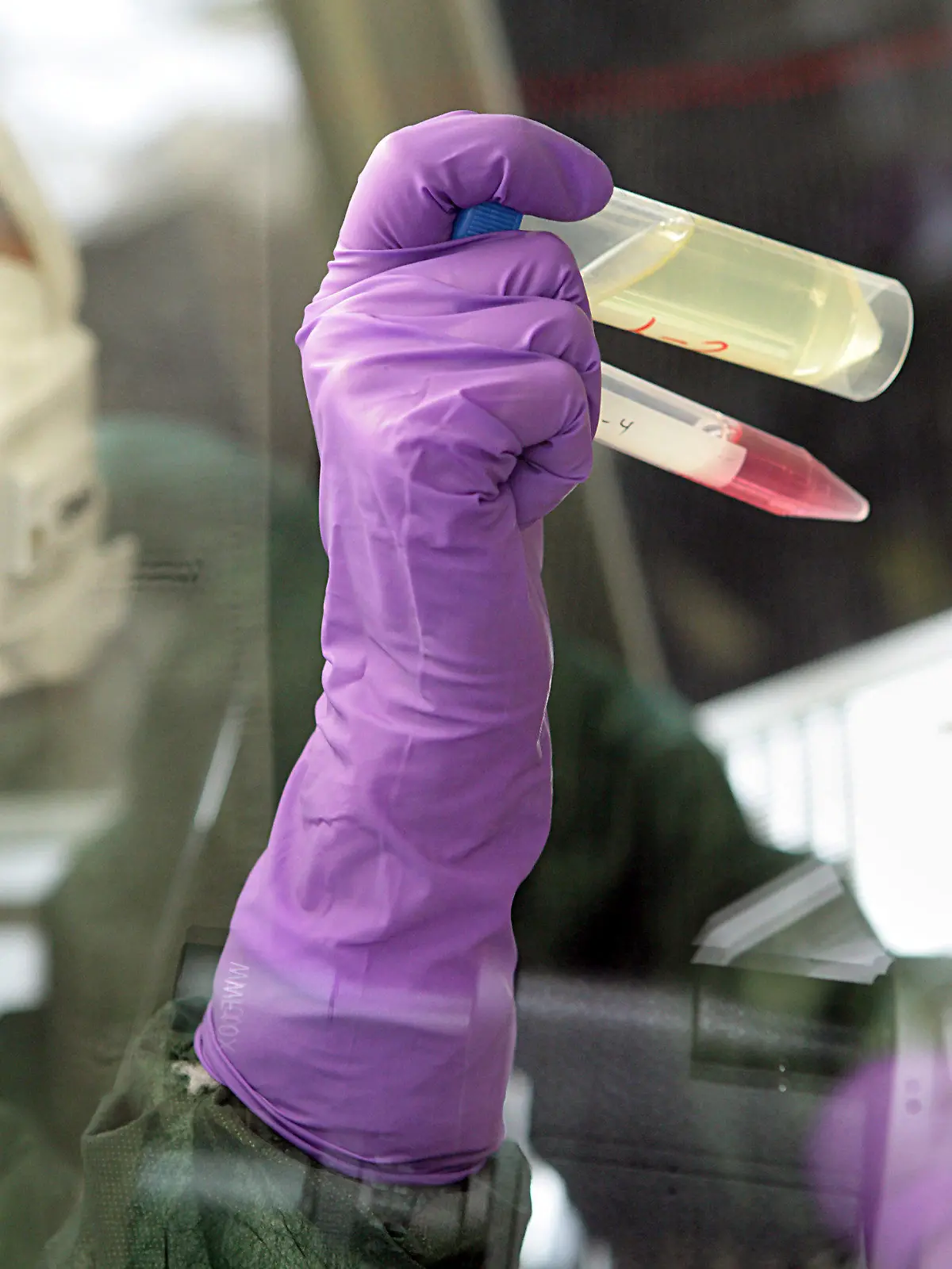 ARCHIV - Eine Mitarbeiterin des Fachbereichs Medizin am Institut für Virologie der Philipps-Universität-Marburg erforscht am 06.05.2009 das Influenzavirus H1N1 der Schweinegrippe/Mexiko-Grippe. Foto: Rolf K. Wegst/dpa  (zu lhe "Uni-Präsidentin: Forschungsallianz wird akzeptiert" vom 15.11.2013) +++(c) dpa - Bildfunk+++