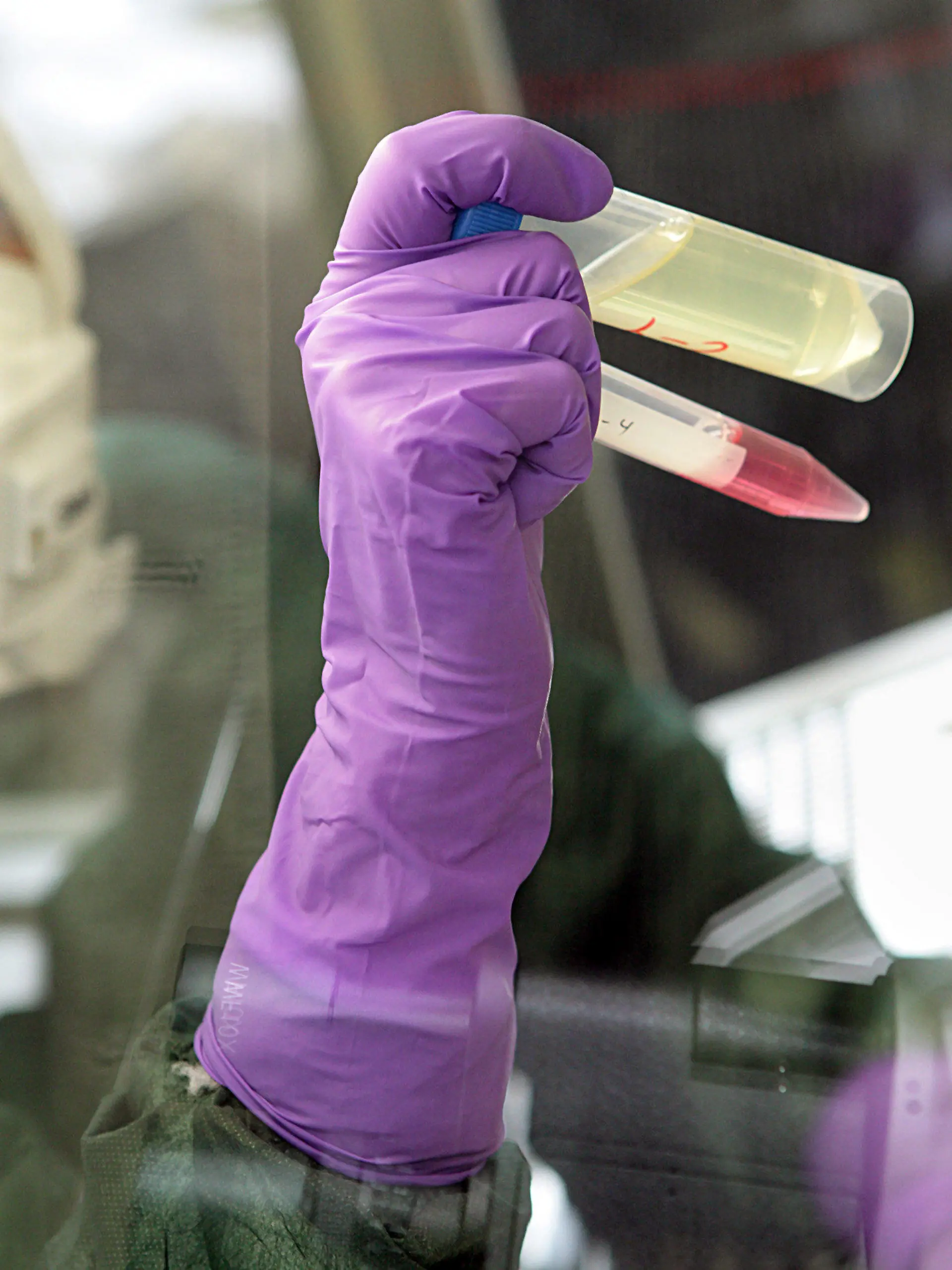 ARCHIV - Eine Mitarbeiterin des Fachbereichs Medizin am Institut für Virologie der Philipps-Universität-Marburg erforscht am 06.05.2009 das Influenzavirus H1N1 der Schweinegrippe/Mexiko-Grippe. Foto: Rolf K. Wegst/dpa  (zu lhe "Uni-Präsidentin: Forschungsallianz wird akzeptiert" vom 15.11.2013) +++(c) dpa - Bildfunk+++