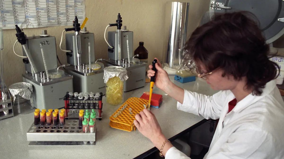Untersuchungen der DNA-Flüssigkeit von Elternund ungeborenen Kindern, bei denen der Verdacht auf eine mögliche Erbkrankheit vorliegt, werden am Institut für medizinische Genetik der Universität Greifswald vorgenommen. Das Institut ist einzige Einrichtung auf dem Gebiet der Ex-DDR für derartige Untersuchungen and analysiert das Blut aller Neugeborenen auf Phenylketonurie. Foto: Bernd Wüstneck +++(c) dpa - Report+++ | Verwendung weltweit