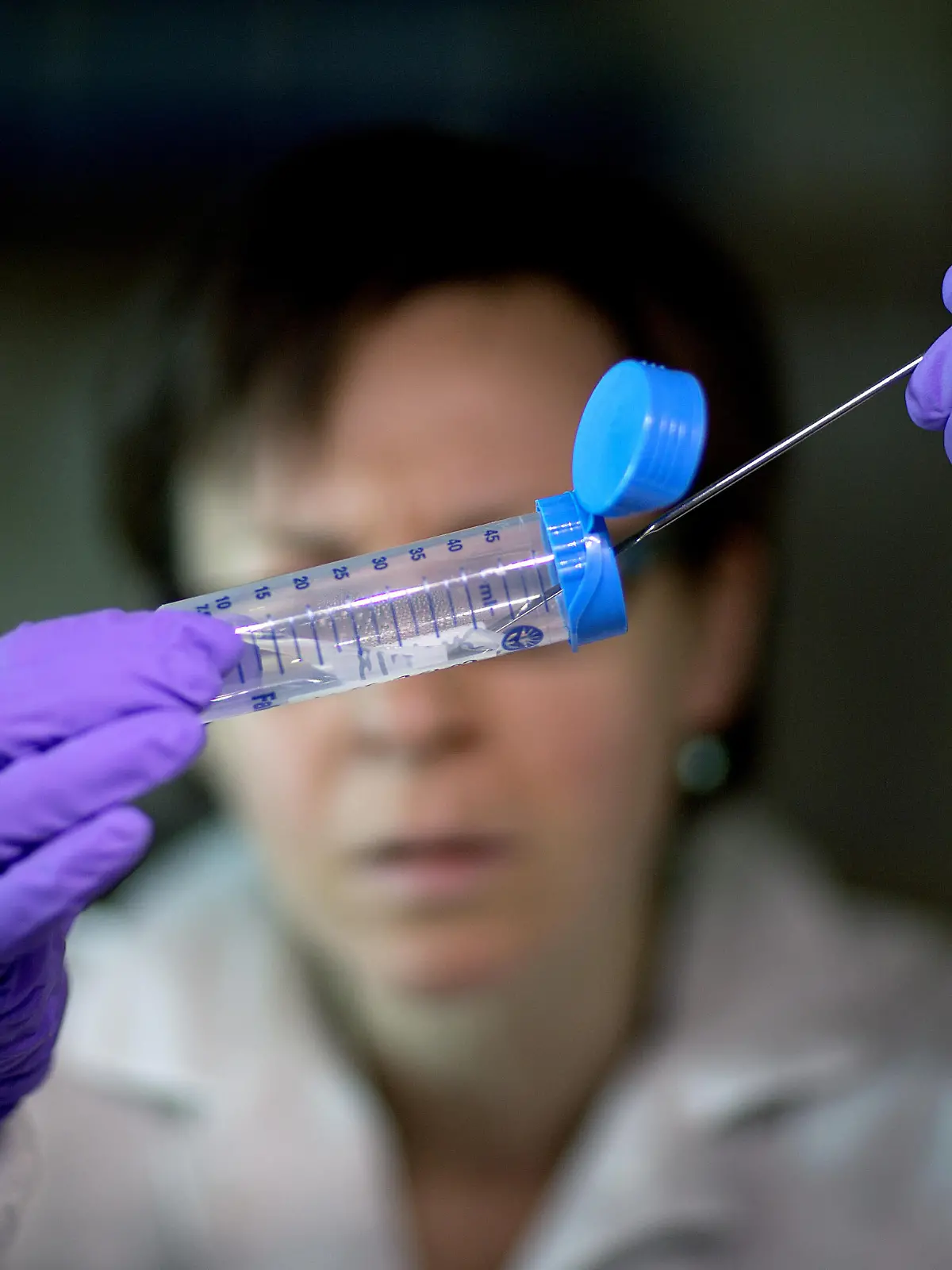 This photo taken Nov. 25, 2013 shows microbiologist Dr. Molly Freeman pulling Listeria bacteria from a tube to be tested for its DNA fingerprinting in a foodborne disease outbreak lab at the federal Centers for Disease Control and Prevention in Atlanta. The nation's disease detectives are beginning a program to try to outsmart outbreaks by routinely decoding the DNA of deadly bacteria and viruses. The initial target: Listeria, a kind of bacteria that's the third-leading cause of death from food poisoning, and one that's especially dangerous to pregnant women. Already, the technology has helped to solve a small listeria outbreak that killed one person in California and sickened seven others in Maryland.(AP Photo/David Goldman) |