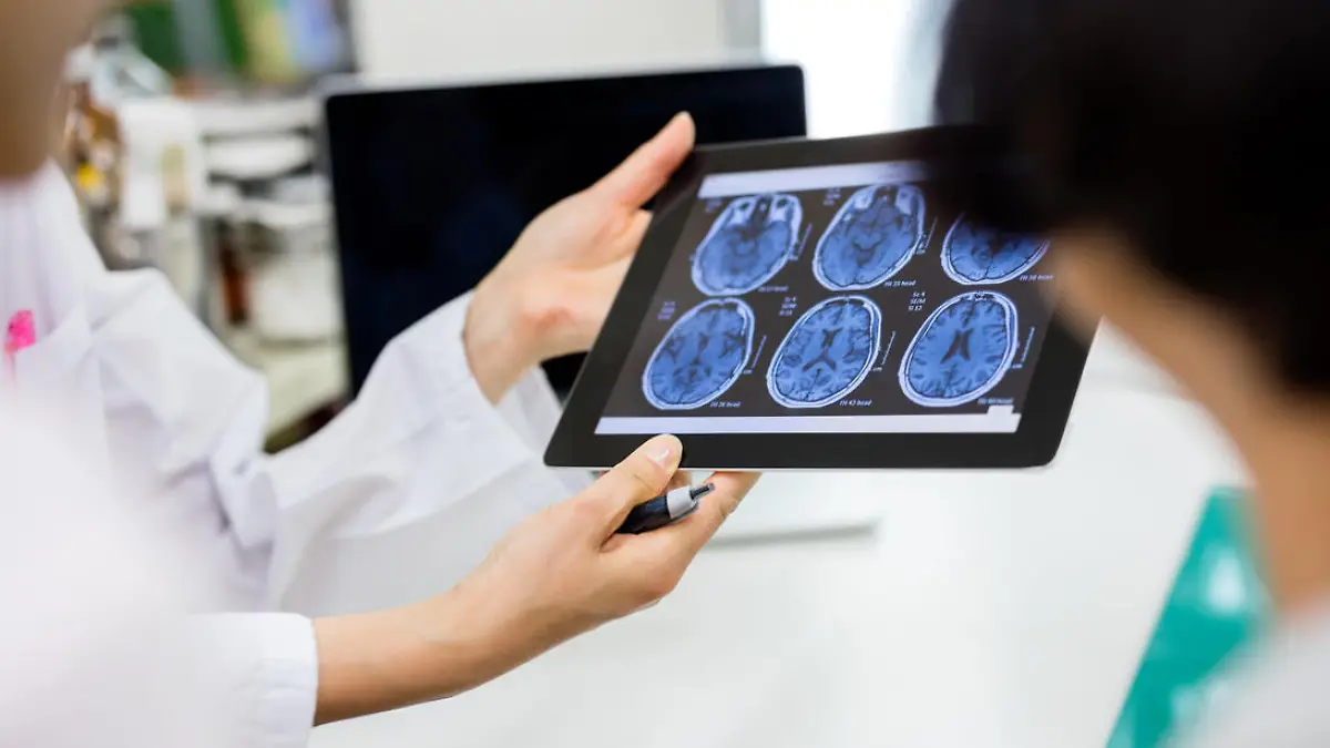 Scans eines menschlichen Gehirns zur Diagnose einer Hirnerkrankung
