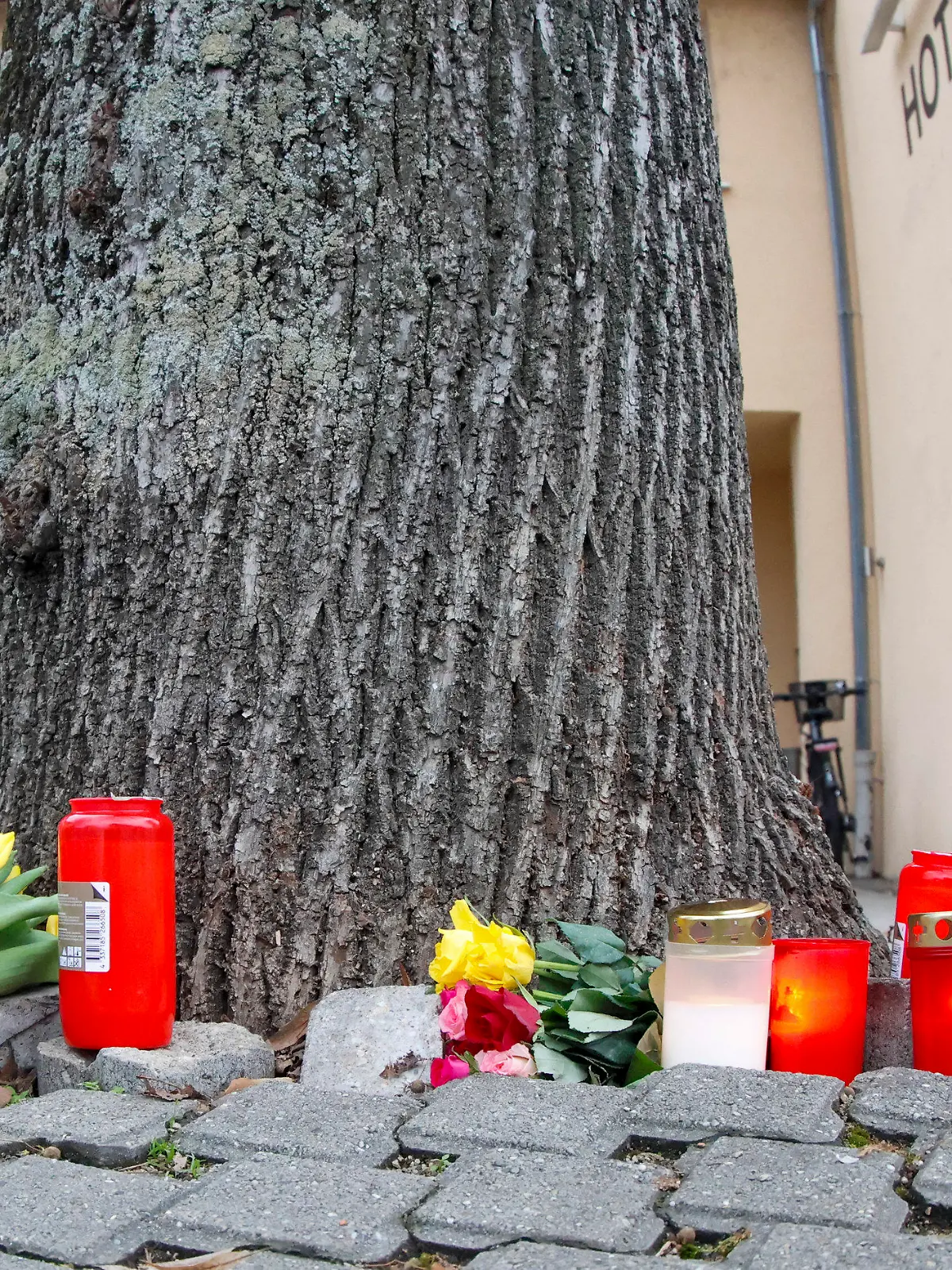 26.01.2023, Baden-Württemberg, Bad Mergentheim: Blumen und Kerzen liegen in der Nähe der Stelle, an der einer ältere Radfahrerin gestürzt war, auf dem Boden. Ein Jugendlicher soll die 78-Jährige  unvermittelt vom Fahrrad gestoßen haben. Dabei zog sich die Frau der Polizei zufolge schwere Kopfverletzungen zu an denen sie später starb. Foto: Heiko Becker/dpa +++ dpa-Bildfunk +++