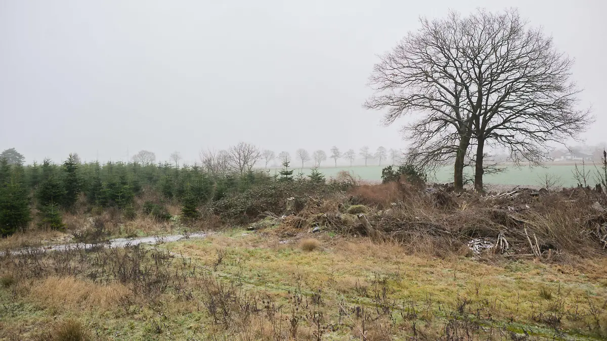 26.01.2023, Niedersachsen, Wunstorf: Blick auf eine Tannenbaumschonung und einem Brachgelände in Wunstorf-Blumenau in der Region Hannover. Nach dem Fund der Leiche eines 14-jährigen Jungen in Wunstorf bei Hannover sind für die Ermittler noch viele Fragen offen. Tatverdächtig wird ein weiterer 14-jähriger Junge. Foto: Julian Stratenschulte/dpa +++ dpa-Bildfunk +++