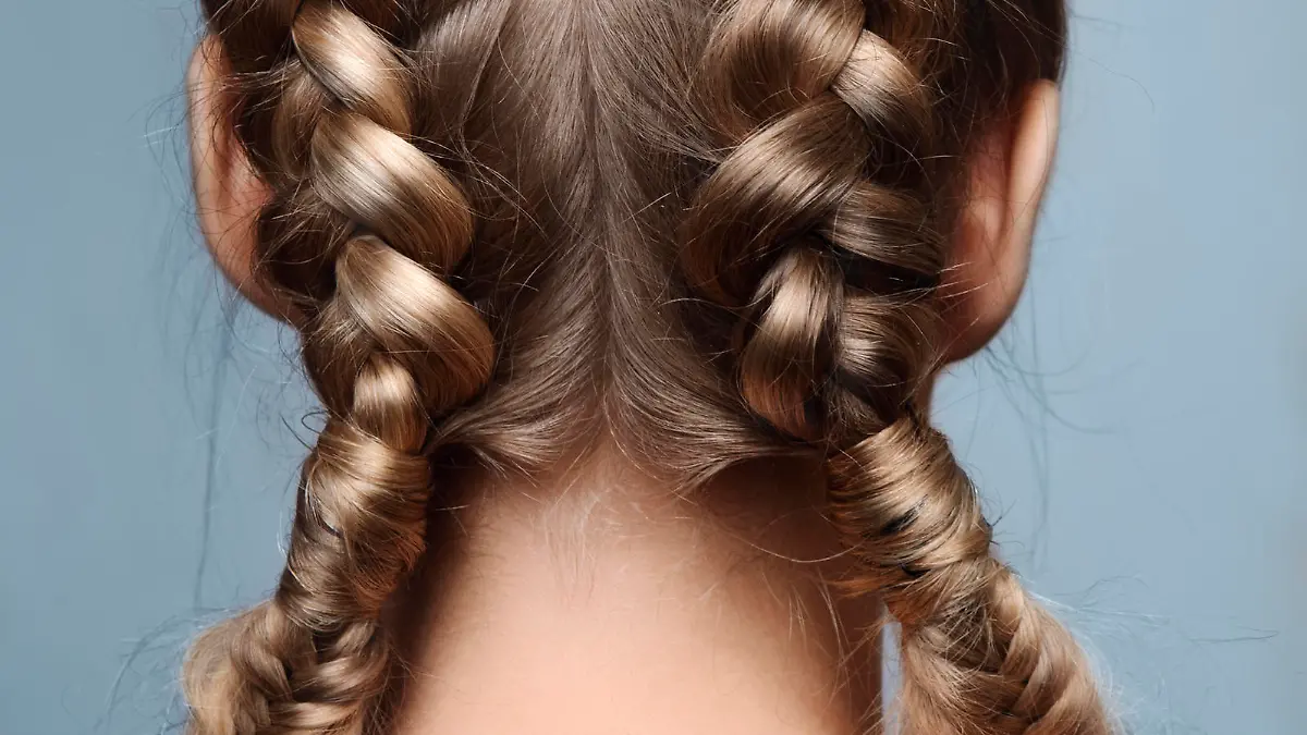 Beauty female model with braids from back