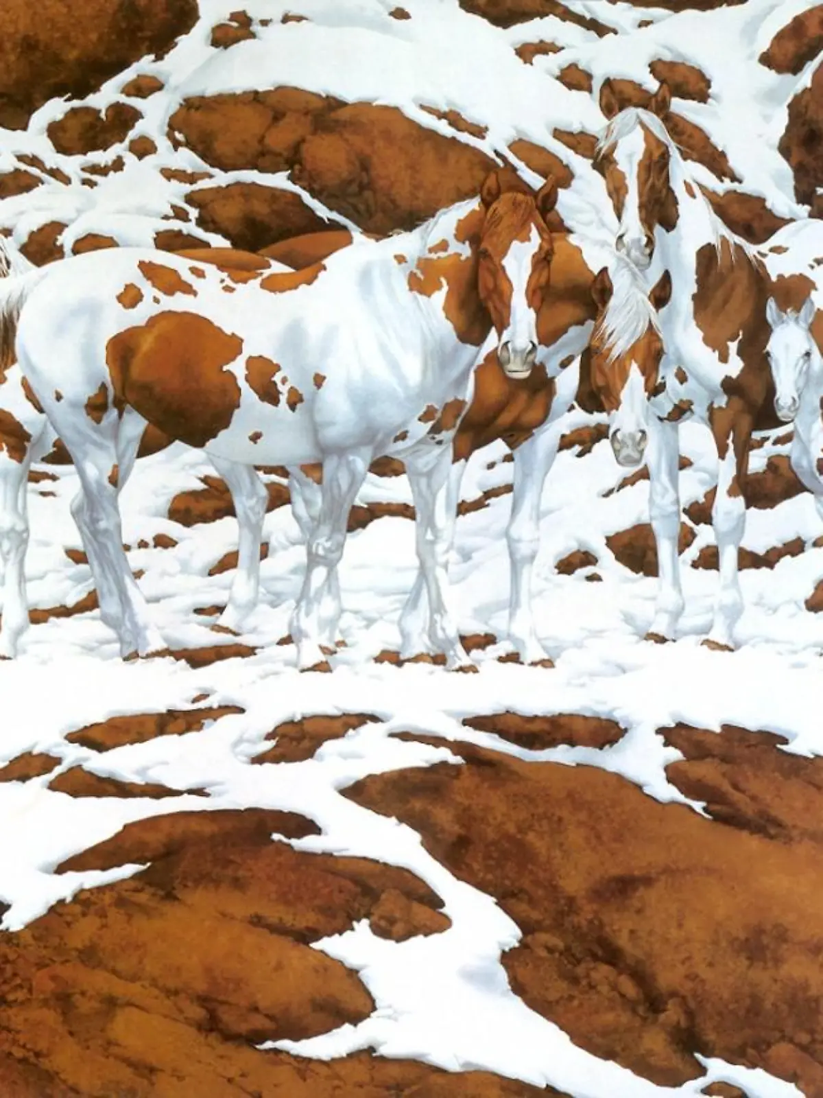 Pferde Bev Doolittle