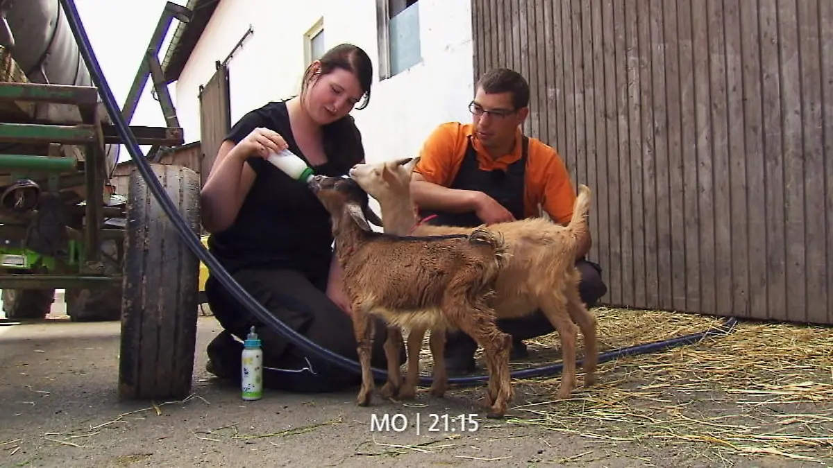 Verena und Roland kommen sich näher Beim gemeinsamen Ziegenfüttern