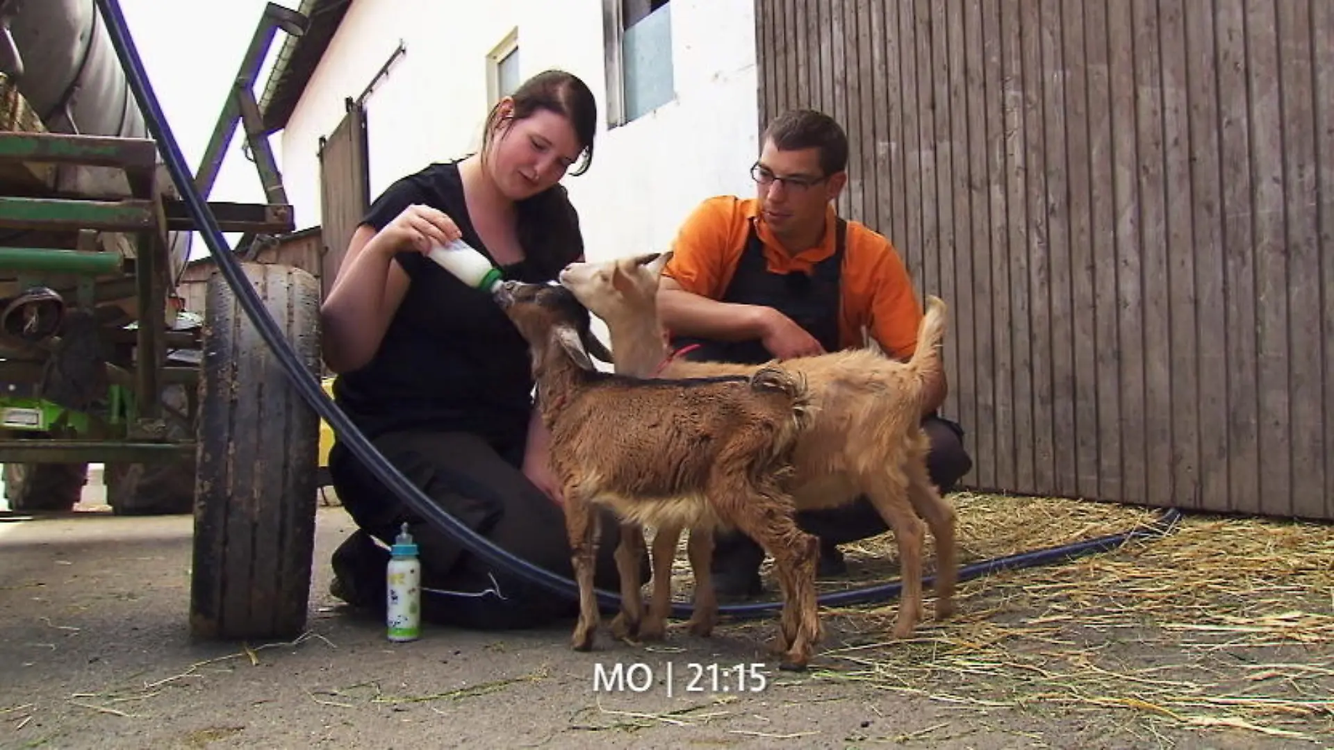 Verena und Roland kommen sich näher Beim gemeinsamen Ziegenfüttern