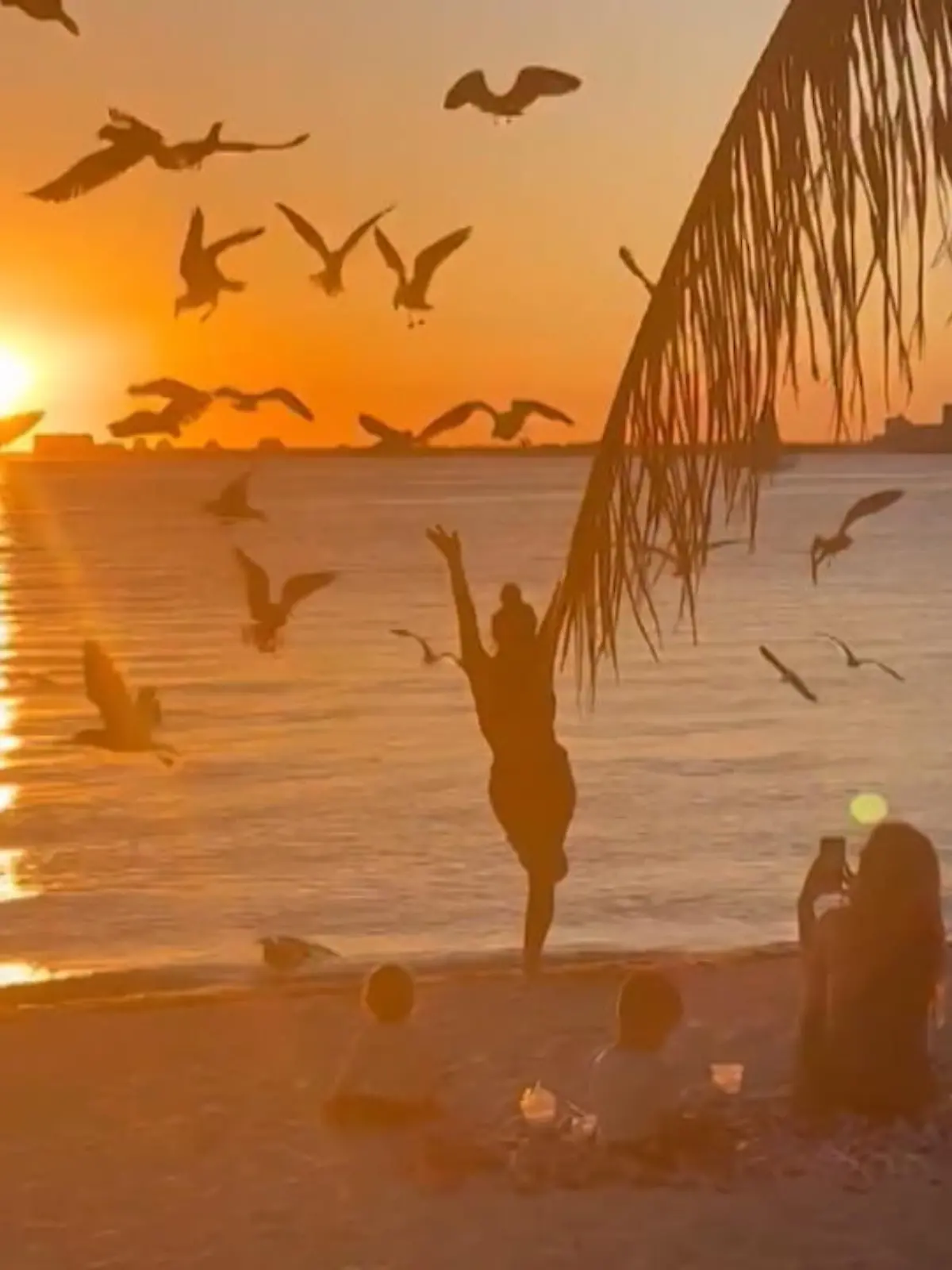 Die Sonne geht unter, das Meer glitzert im Hintergrund: Einen perfekteren Moment für ein Foto wird diese Frau aus Miami wohl nicht mehr  bekommen. In einer eleganten Yoga-Pose stellt sie sich in den Sand - und wird von hungrigen Möwen angegriffen! Wir zeigen den lustigen Moment im Video.
