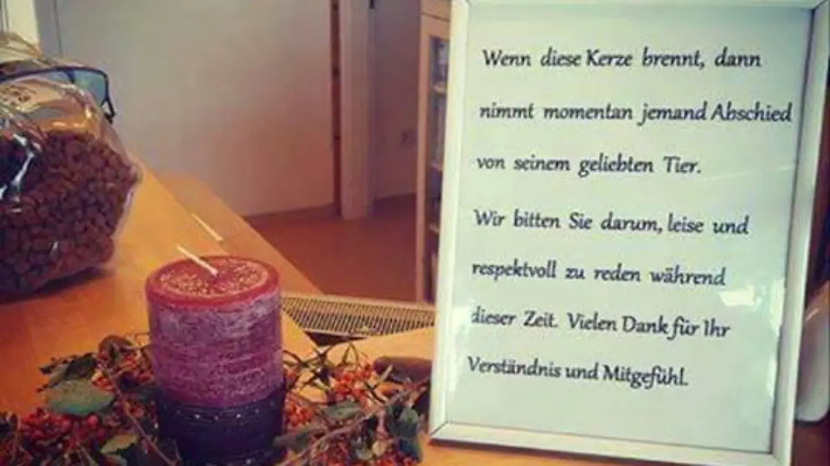 Eine angezündete Kerze für ein verstorbenes Haustier