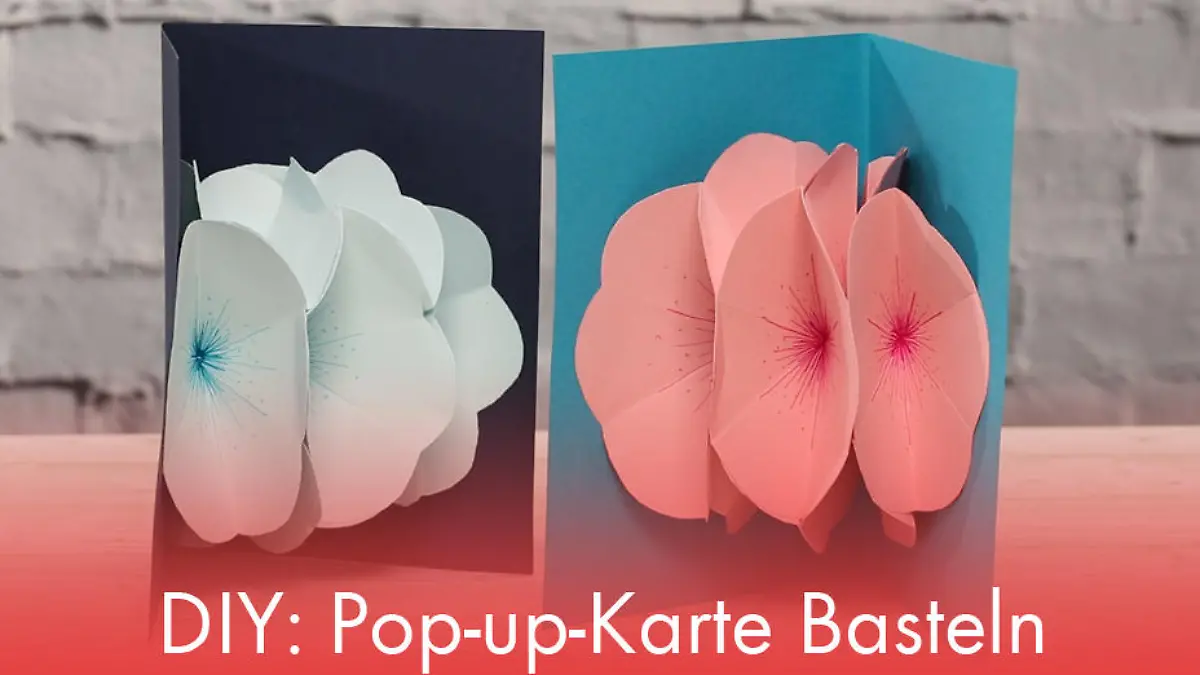 DIY: Pop-up-Karte Basteln Geschenk-Karte