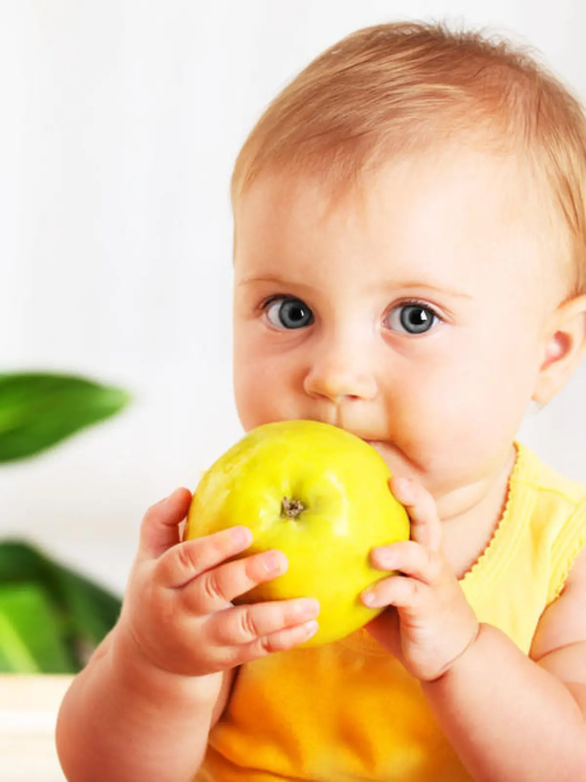 Little baby eating apple, closeup portrait, concept of health care & healthy child nutrition