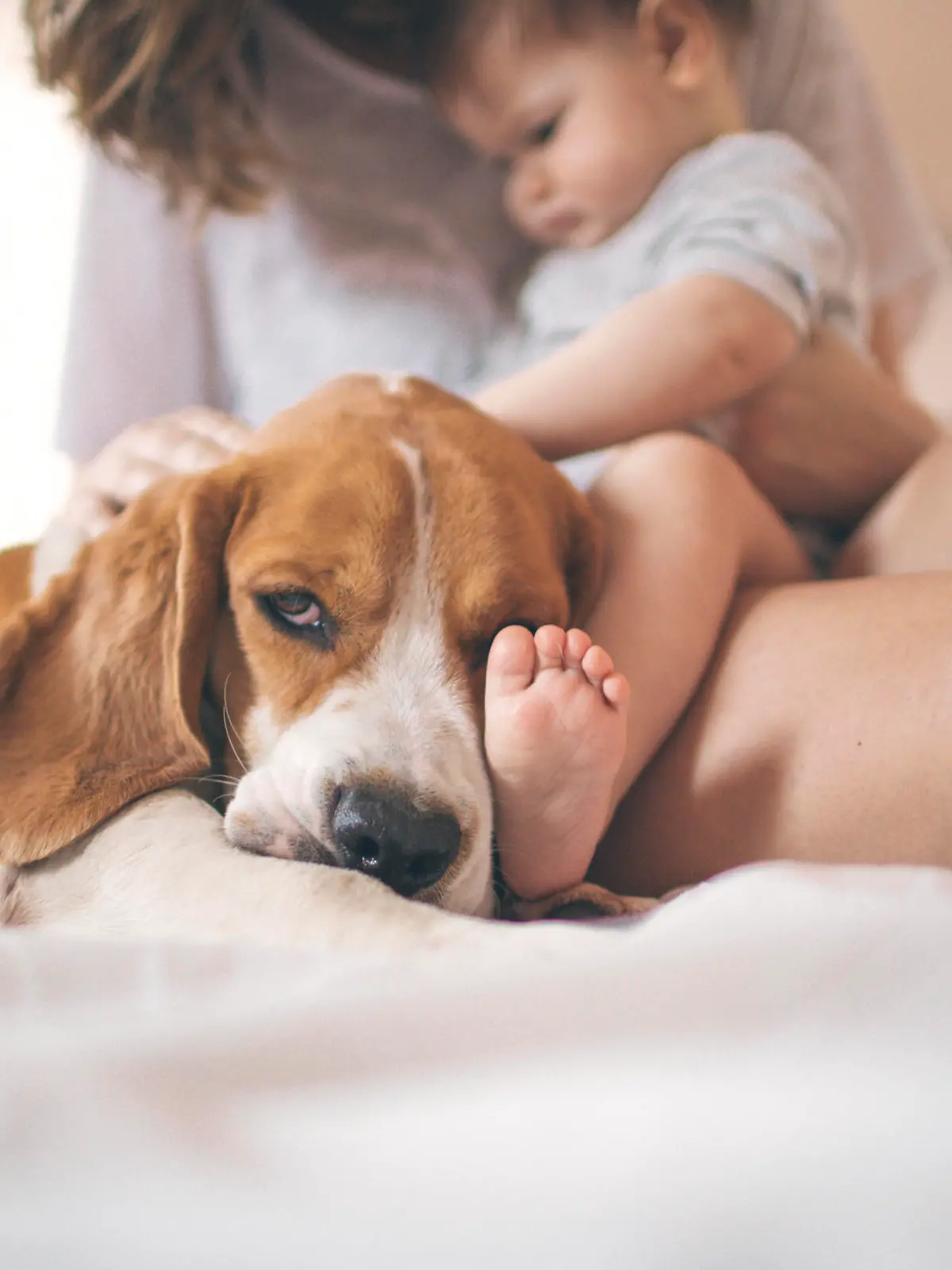 Baby and the dog