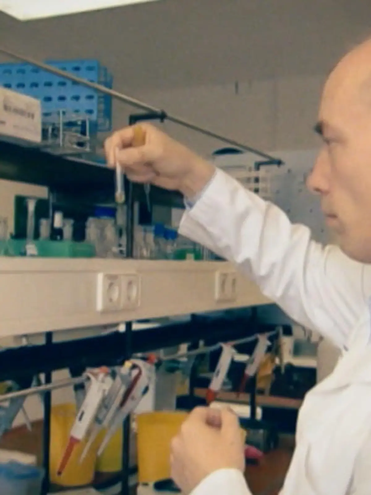 Prof. Dr. Volker Auwärter