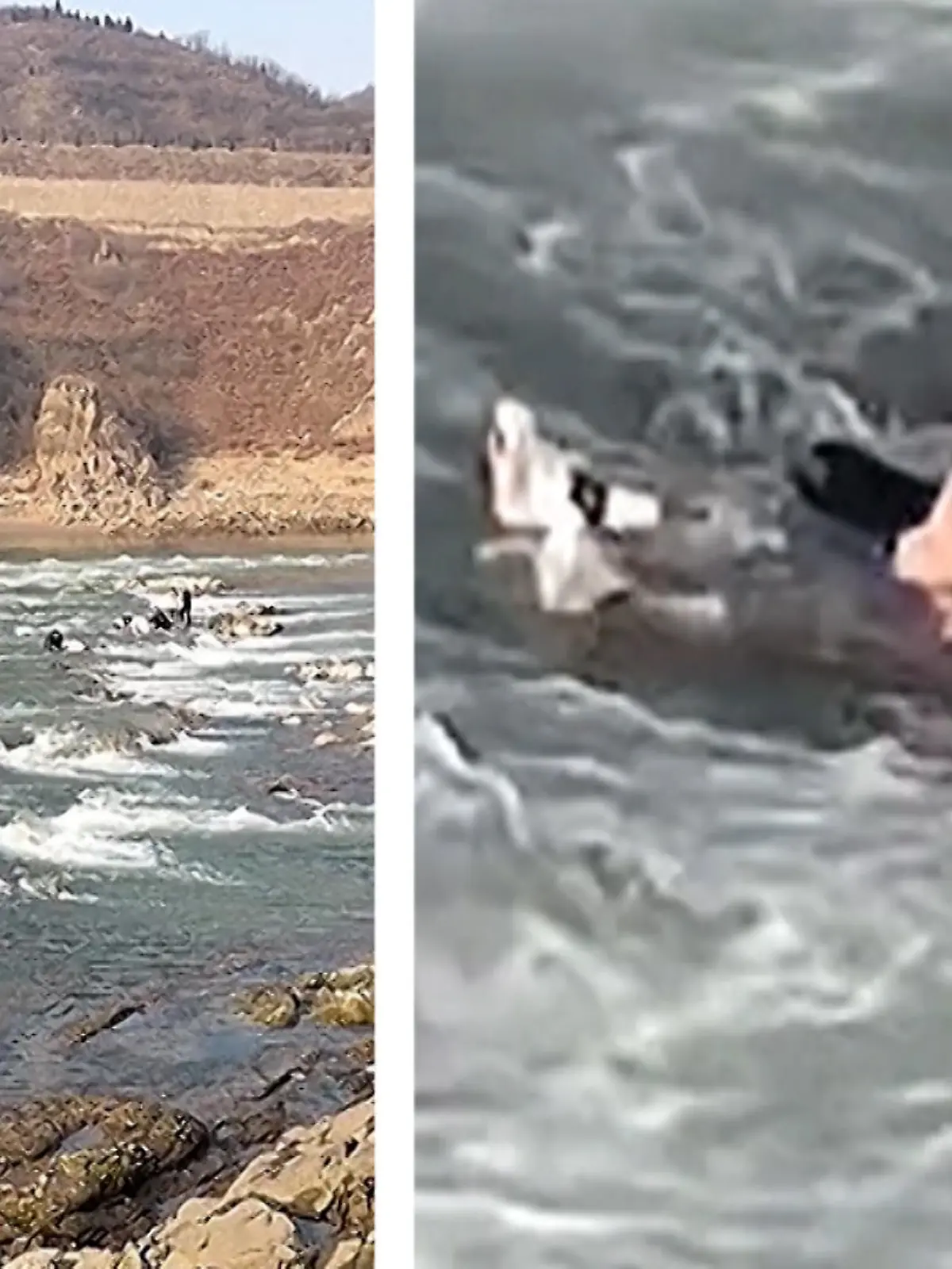 Weil sie eine Absperrung übertraten, um an einem beliebten Fotospot Urlaubsschnappschüsse machen zu können, starben zwei Urlauber in Zentralchina.