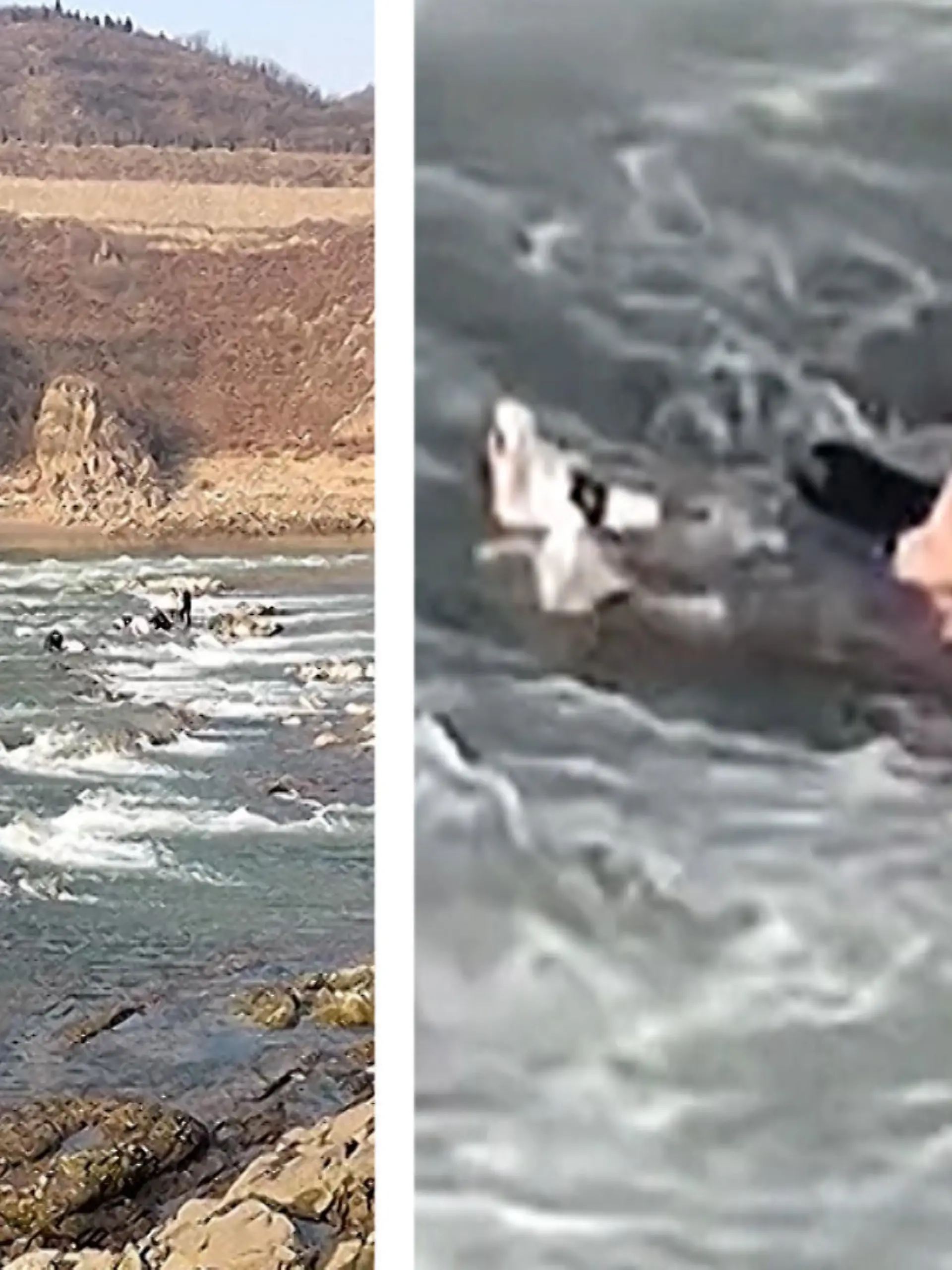 Weil sie eine Absperrung übertraten, um an einem beliebten Fotospot Urlaubsschnappschüsse machen zu können, starben zwei Urlauber in Zentralchina.