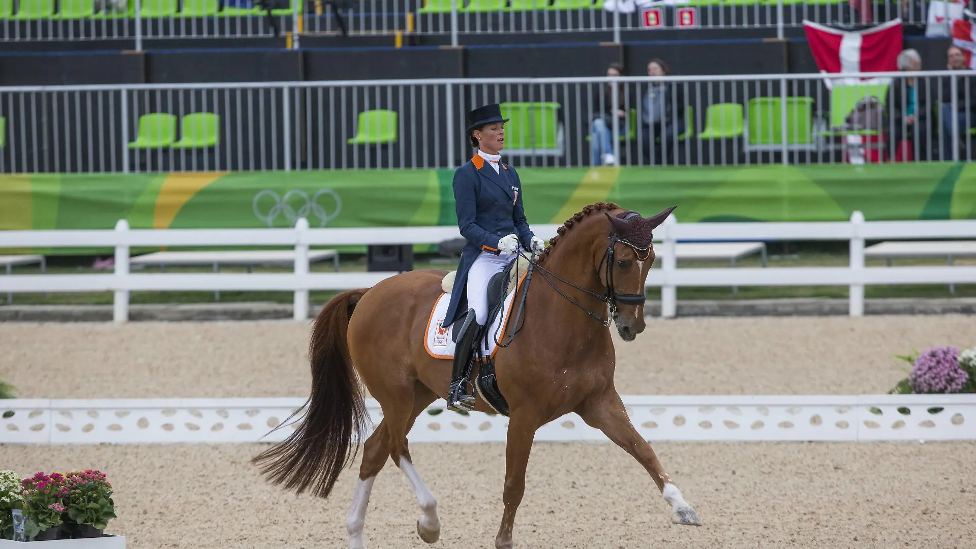 Rio 2016, Pferdesport, Dressur 160810 Hollands dressyrryttare Adelinde Cornelissen och Parzival avbröt sin ritt den 10 augusti 2016 under OS i Rio de Janeiro. Photo: Roland Thunholm / BILDBYRüN / COP 190 PUBLICATIONxINxGERxSUIxONLY Copyright: ROLANDxTHUNHOLM BB160810BB342Rio 2016 Equestrian sports Dressage 160810 Holland dressyrryttare Adelinde Cornelissen och Percival Sin Ride the 10 Augusti 2016 Under OS I Rio de Janeiro Photo Roland Thunholm BILDBYRüN Cop 190 PUBLICATIONxINxGERxSUIxONLY Copyright ROLANDxTHUNHOLM