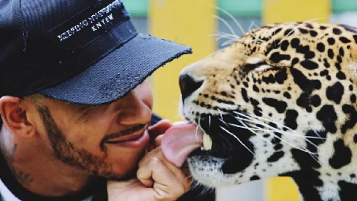 Eines der umstrittenen Bilder von Lewis Hamilton