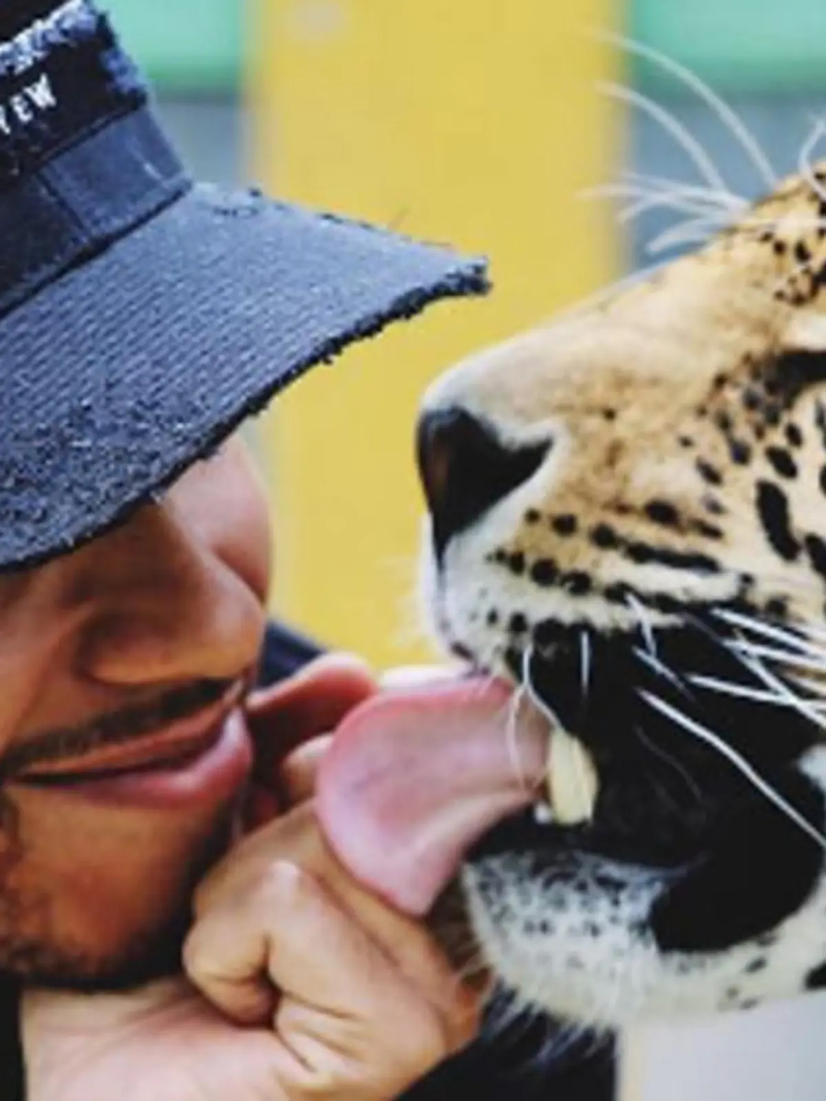 Eines der umstrittenen Bilder von Lewis Hamilton