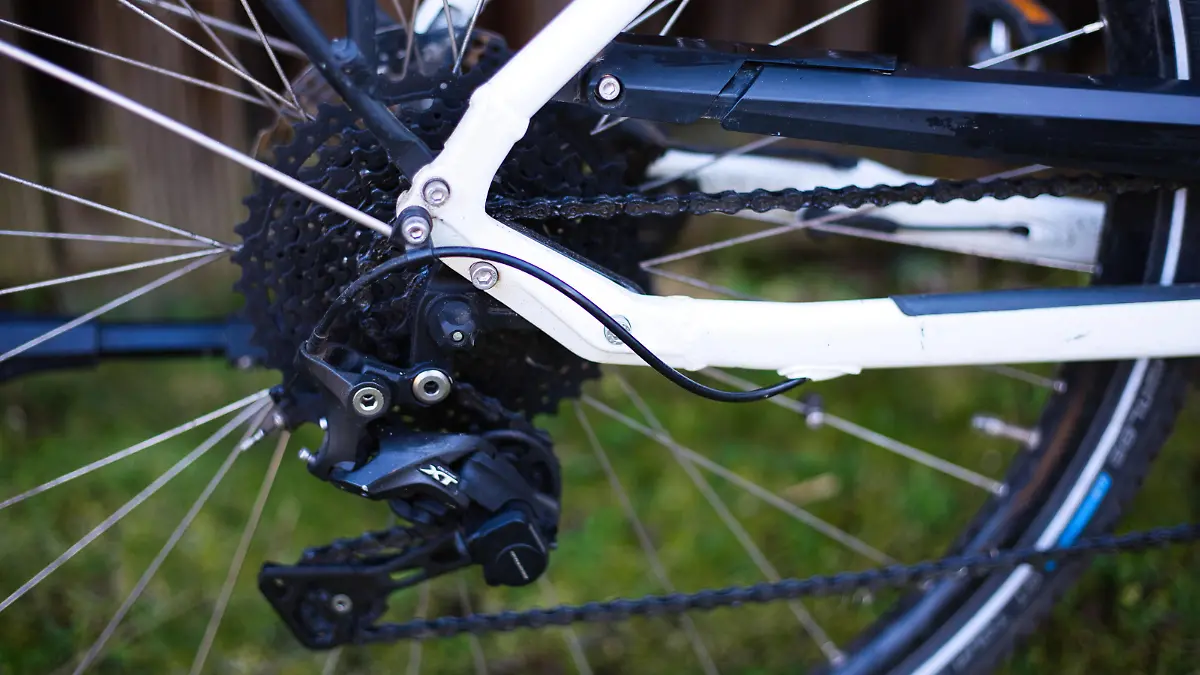 RTL-E-BIKE-Kettenschaltung-Blatt-hinten-1-Torsten-Rabe MGL8017