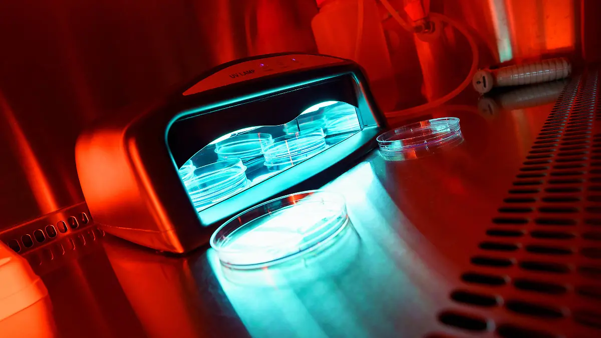 Zur Überprüfung einer akuten Strahlenbelastung ließ Alexandrov die UV-Strahlung an menschlichen Zellkulturen und denen von Mäusen testen.