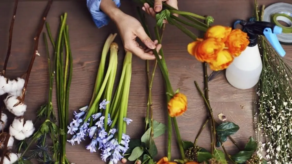 Darum macht schlechtes Wetter Blumen teurer Steigende Preise in Pflanzen- und Blumengeschäften