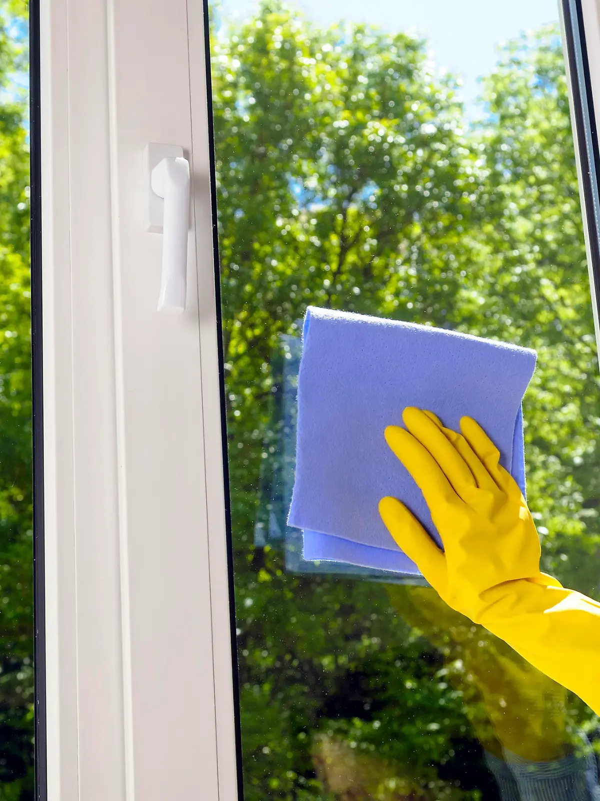 cleaning plastic vinyl window on a background green leaf