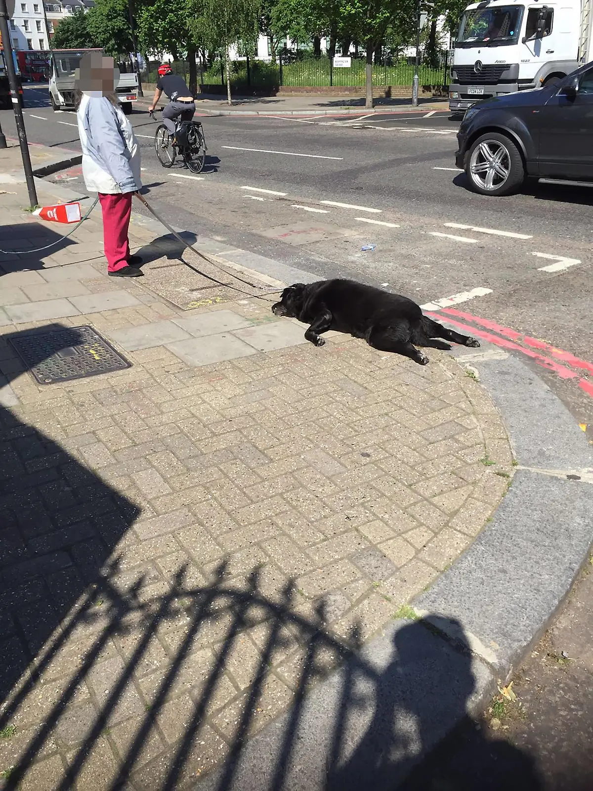 PIC BY MERCURY PRESS(PICTURED: ANIMAL OWNER DRAGGING DOG BY ITS LEAD)A horrified commuter captured the moment a dead dog was left lying in the street - and claims its owner DRAGGED it along by its lead after it apparently collapsed. The 26-year-old woman, who has asked not to be named, witnessed the shocking scene in Mornington Crescent, Camden, London, on Monday (June 6) at about 9.45am. She alleges the animals owner verbally abused her when she attempted to help the pooch, which is believed to have died due to an illness, before attempting to leave the animal behind.SEE MERCURY COPY