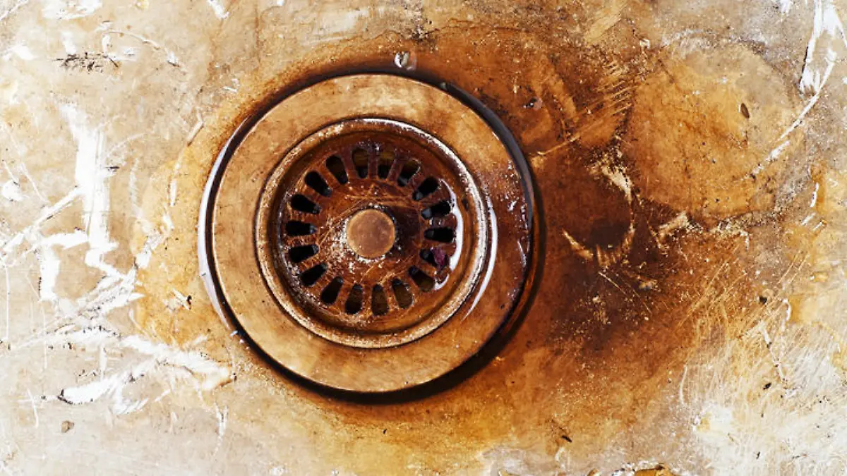 Rost entfernen: diese Naturmittel helfen Reinigungs-Tipps von der Expertin