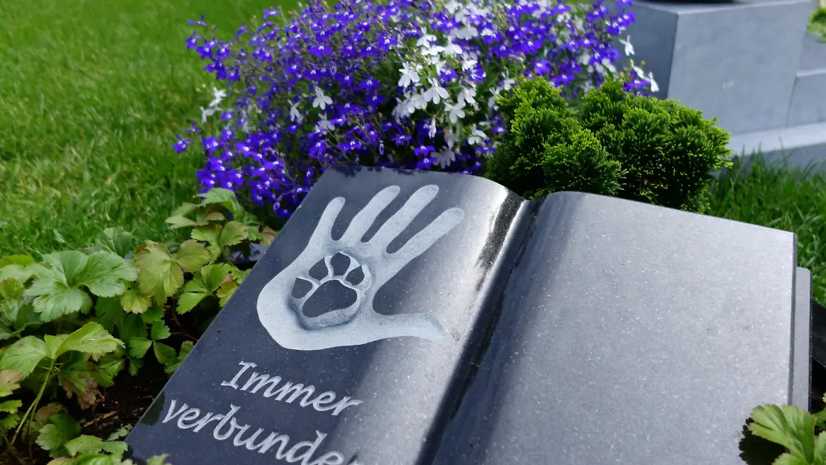 2015-UnserHafen-Mustergrab04