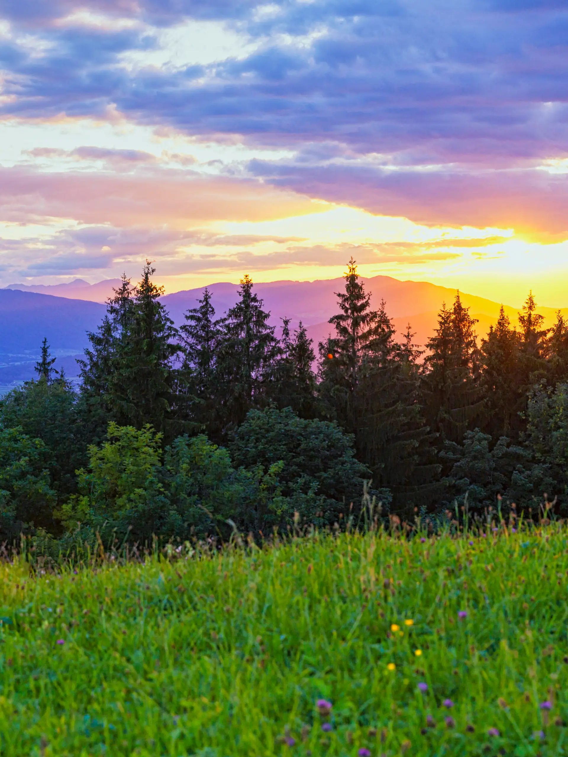 Sonnenuntergang am Gaisberg über der Stadt Salzburg, der Blick geht über die Stadt Salzburg und das Salzachtal zu den Chiemgauer Alpen mit dem Hochstaufen - 20150906_PD14678