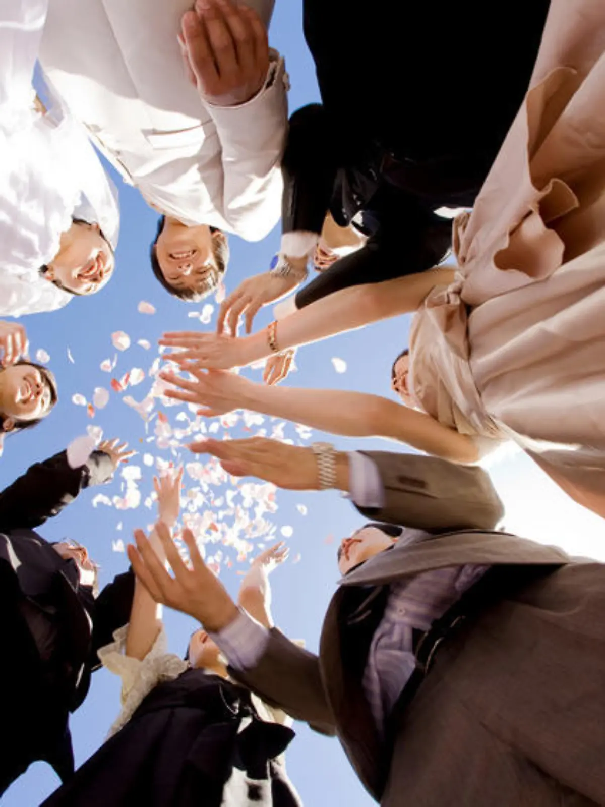 hochzeitsgesellschaft Fotolia 33767965 S.jpg