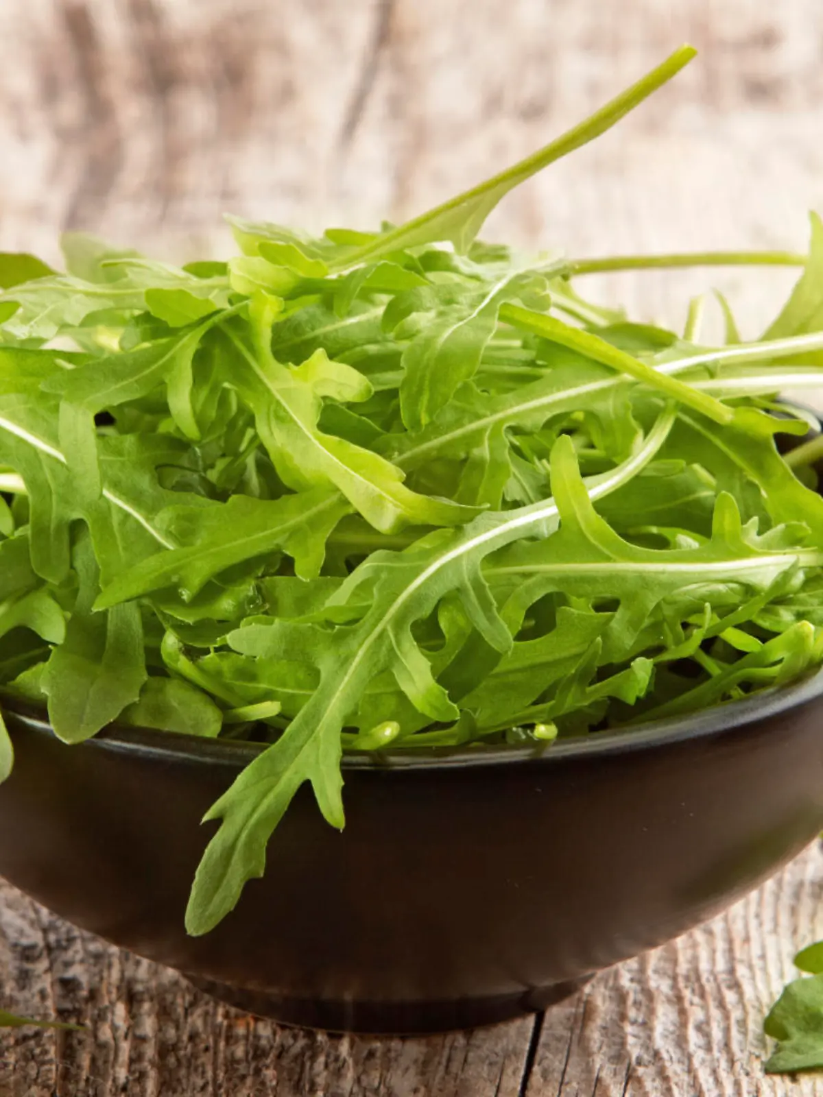 Rucola in black bowl