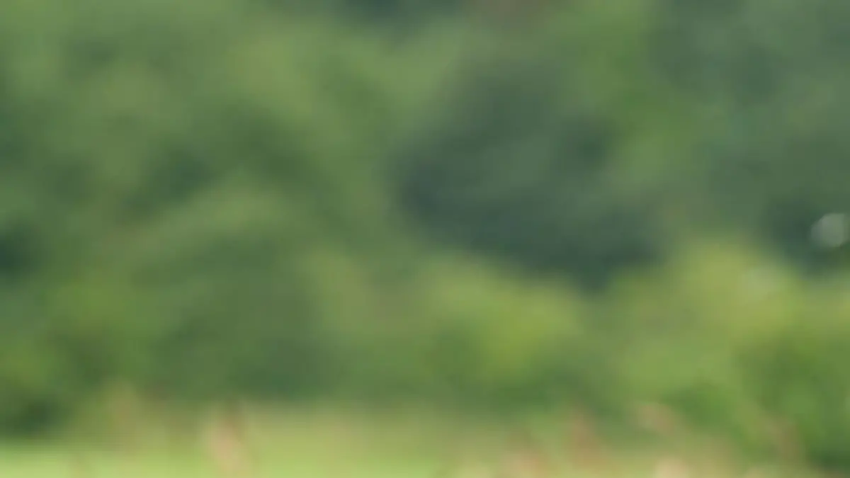 Für den familiären Ziegenwirt Roland (29) ist sein Hof sein Leben. Er sucht eine Frau, die bereit ist, das Leben auf seinem Hof mit ihm zu teilen und sich vorstellen kann, eine eigene Familie zu gründen.