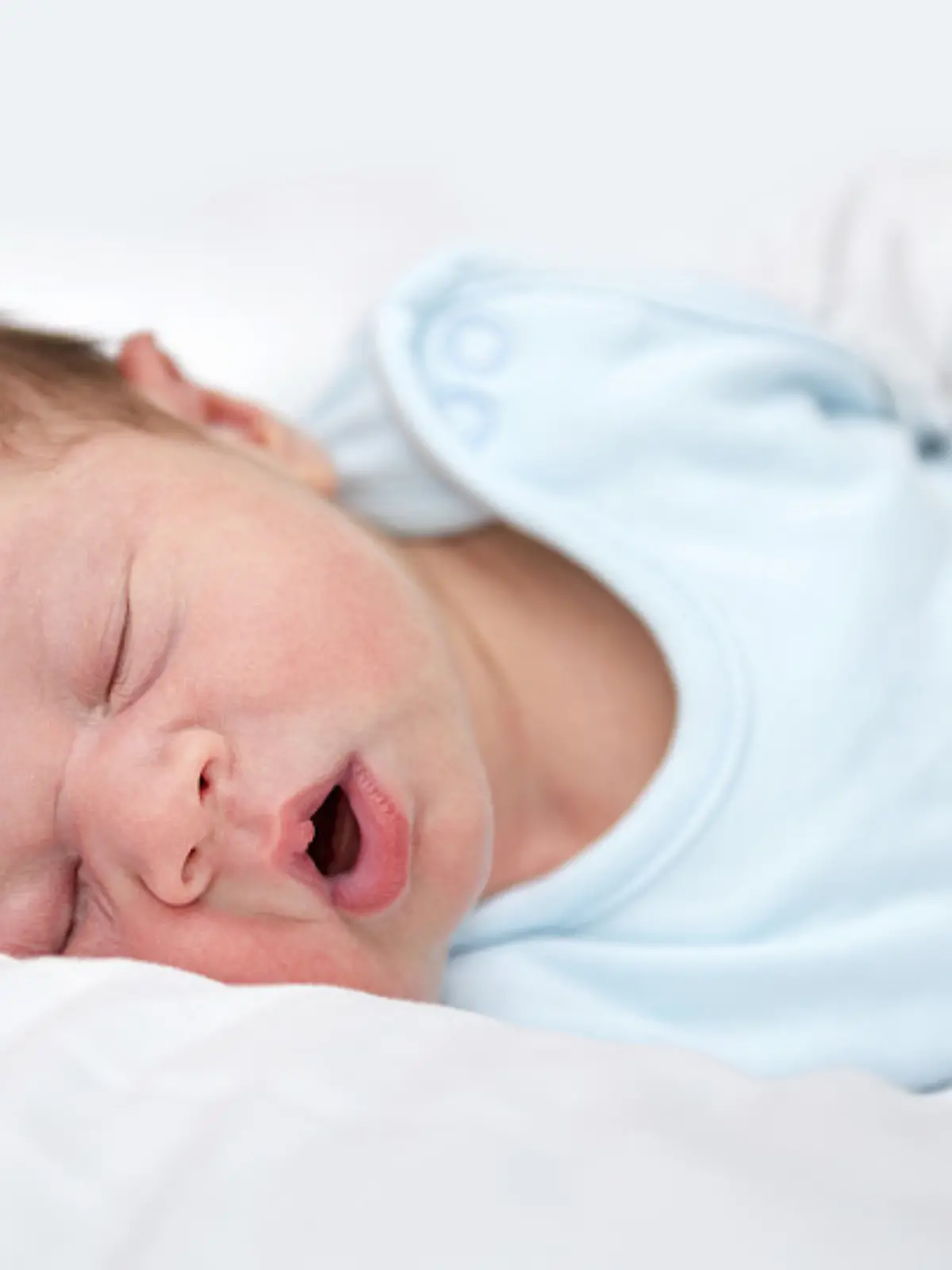 iStock 000071558569 Large.jpg