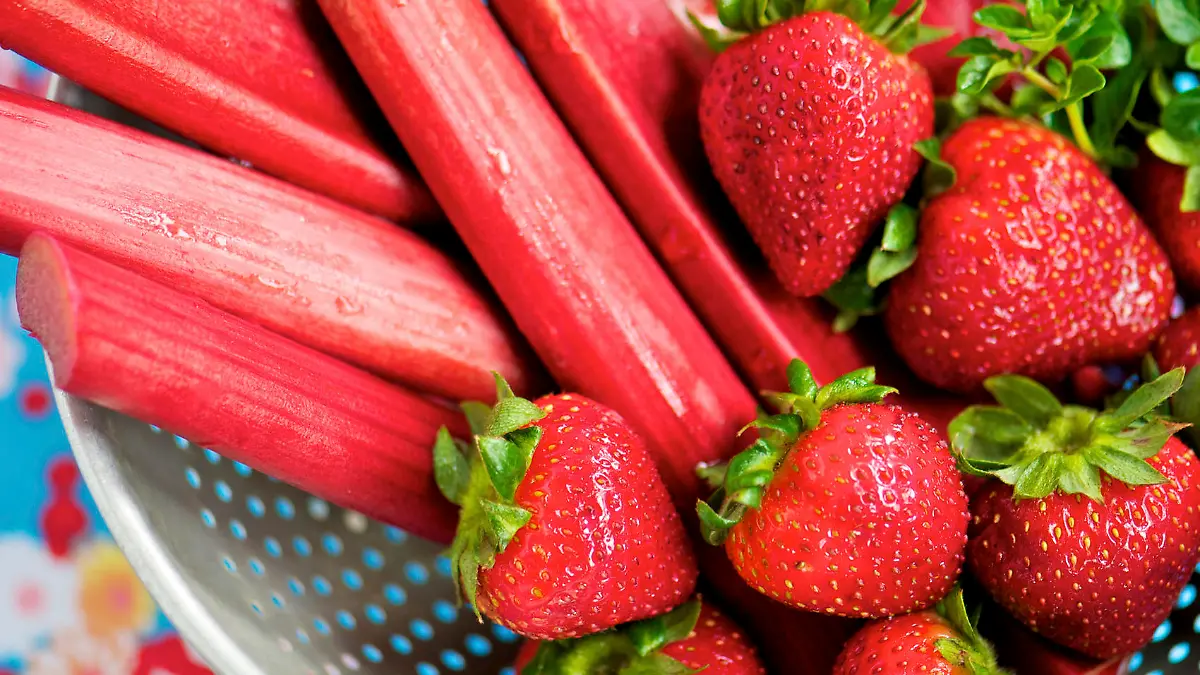 Erdbeeren,Rhabarber,Obst,Früchte,Frühlingsfrüchte,Saisonfrüchte
