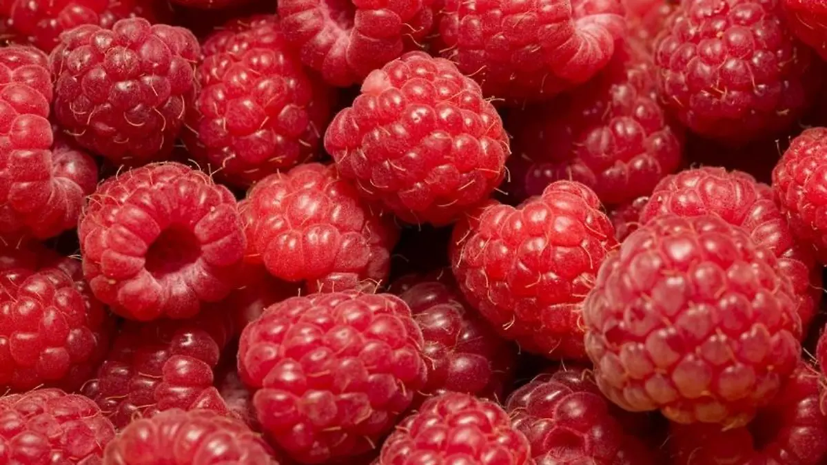 himbeeren.jpg