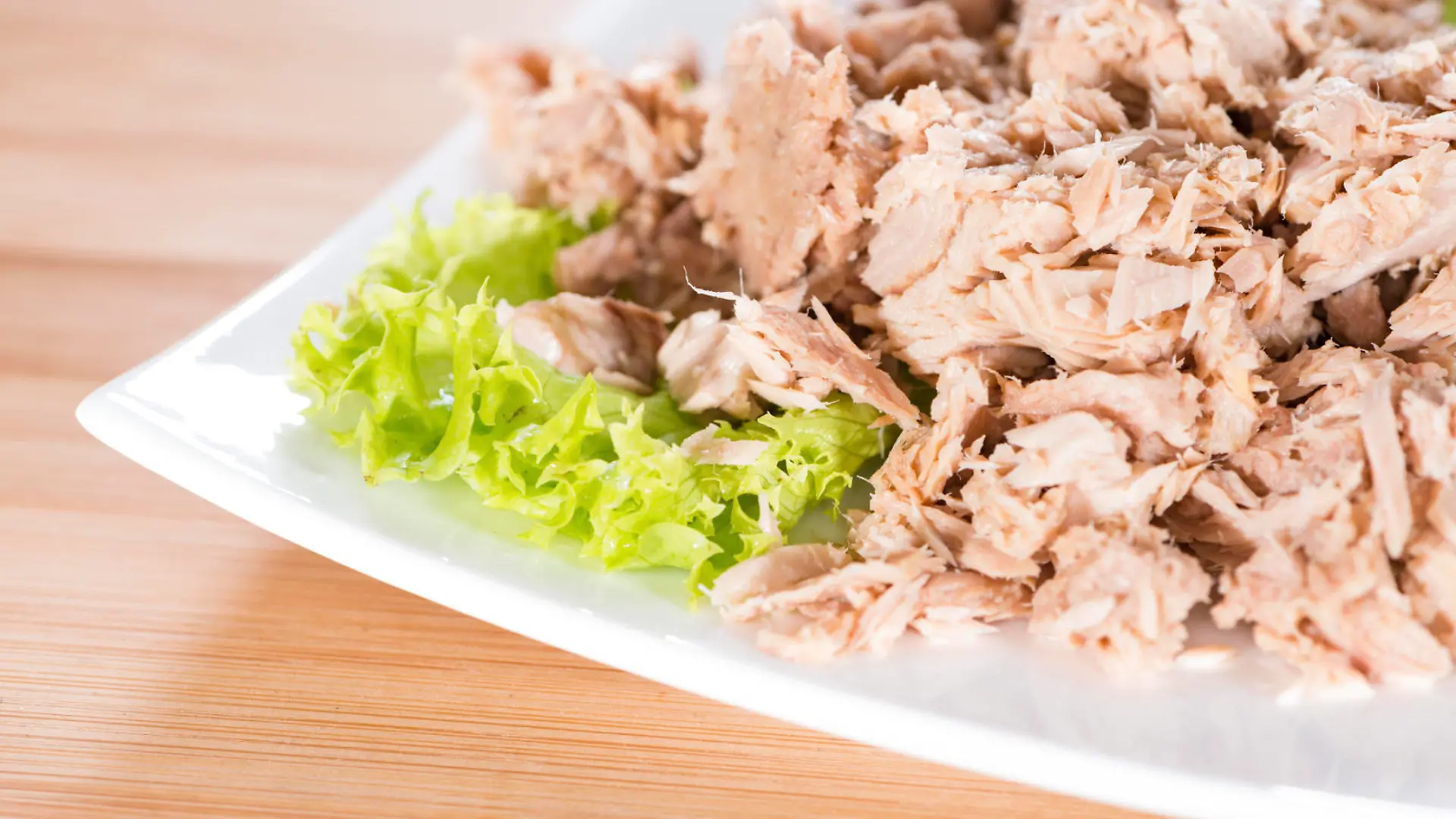 Portion of (canned) Tuna with fresh herbs as detailed close-up shot