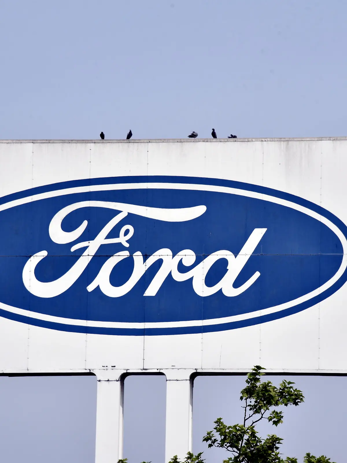 Logo, Schriftzug des Autohersteller FORD