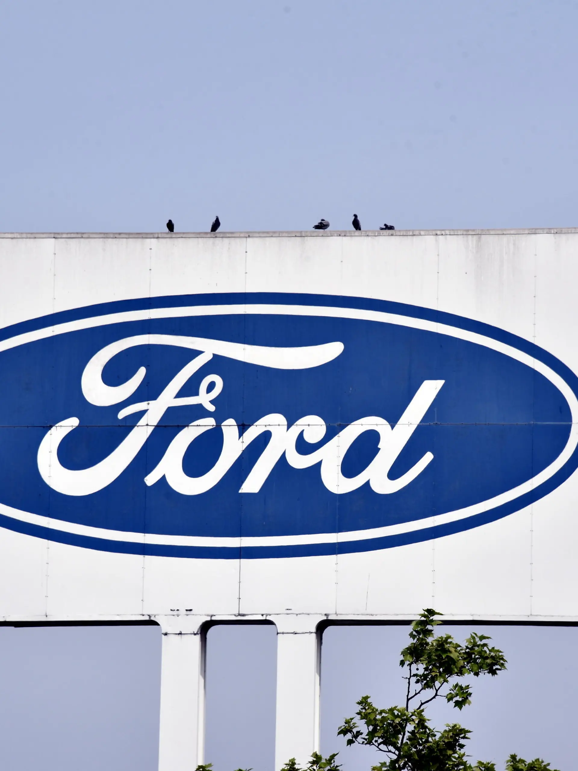 Logo, Schriftzug des Autohersteller FORD