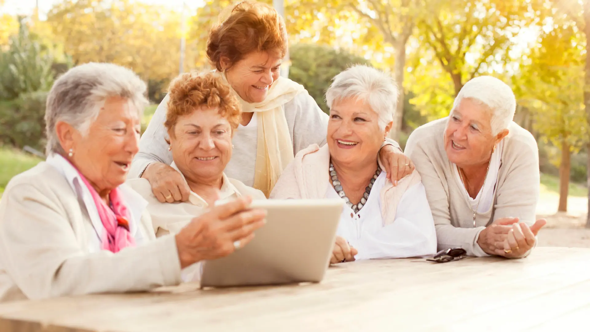 iStock 000077846391 Large.jpg
