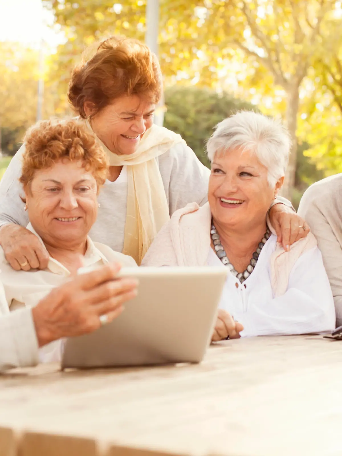 iStock 000077846391 Large.jpg