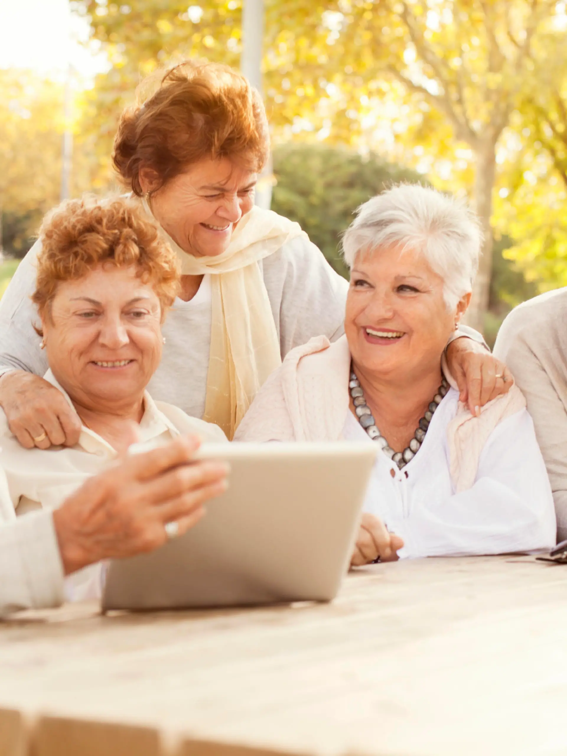 iStock 000077846391 Large.jpg