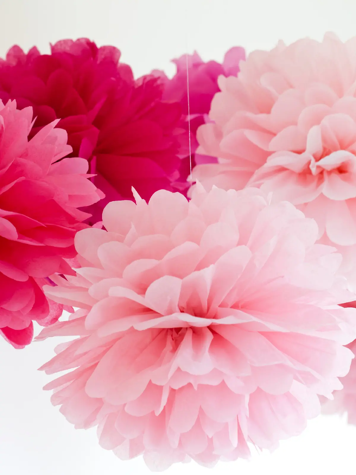 Tissue pompoms for a party