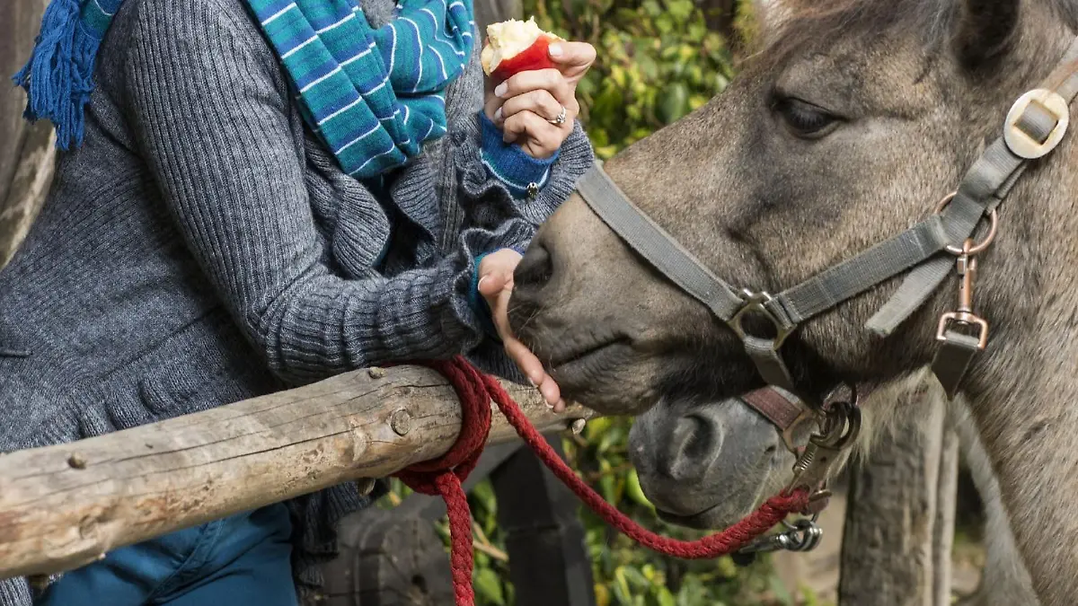 Moderatorin Inka Bause