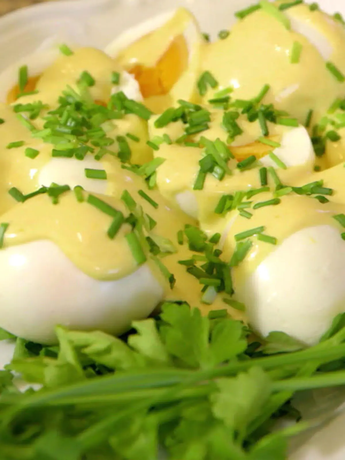 Bild zu: "Yummy! Sauce Hollandaise und Eier im Glas"